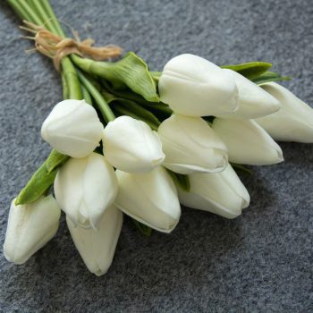 زهرة التوليب للديكون لون موف ابيض